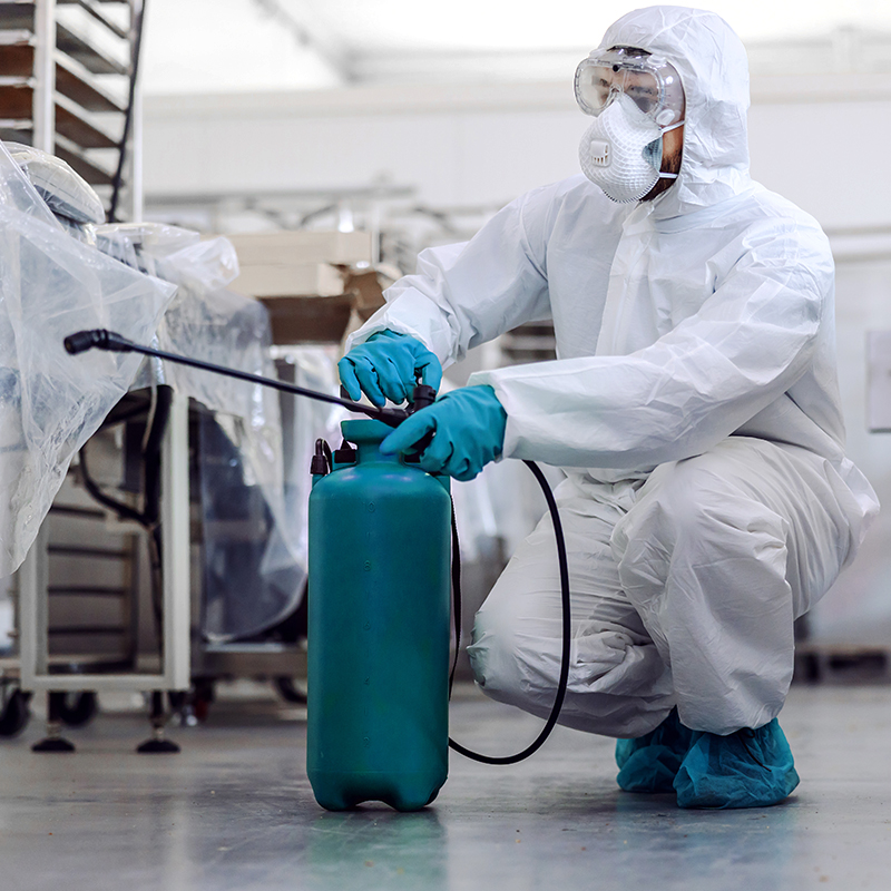 Pulizia aziende alimentari